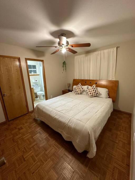 Mcallen 4Br With Pool, Shopping & More ภายนอก รูปภาพ