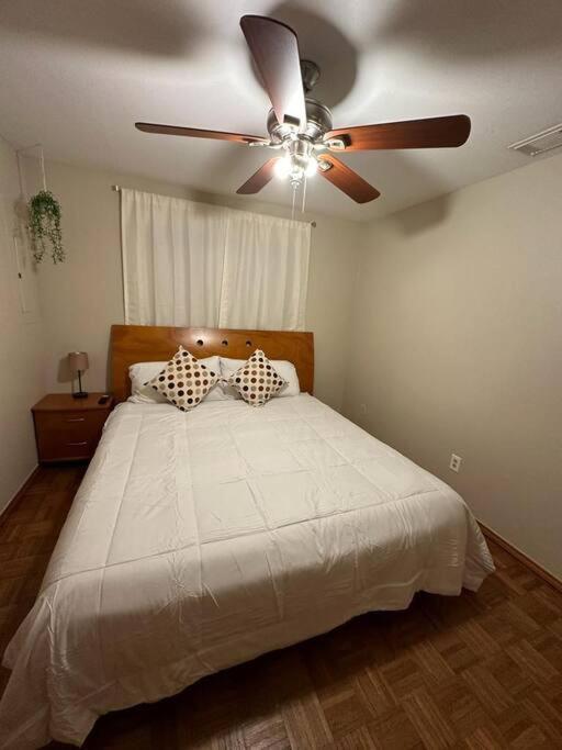 Mcallen 4Br With Pool, Shopping & More ภายนอก รูปภาพ