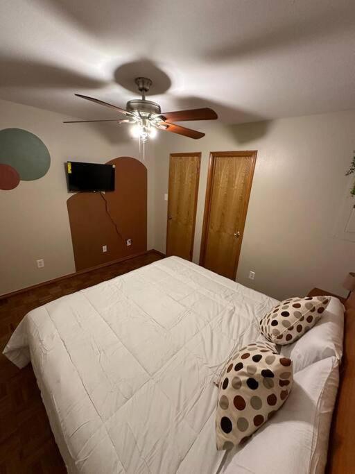Mcallen 4Br With Pool, Shopping & More ภายนอก รูปภาพ