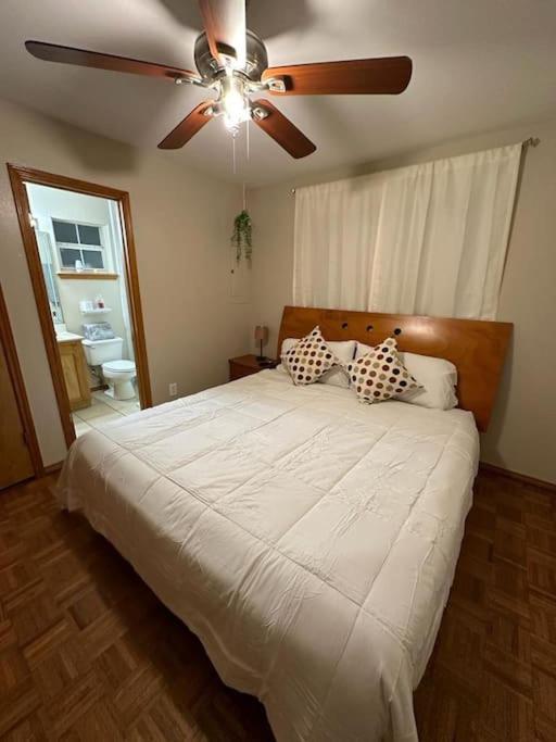 Mcallen 4Br With Pool, Shopping & More ภายนอก รูปภาพ